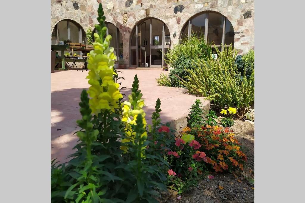 Апартаменти Eilat Stone - Patio אבן אילת - פטיו Екстер'єр фото