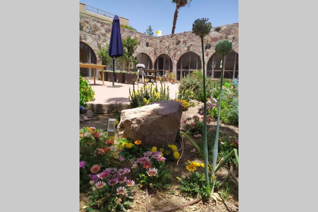 Апартаменти Eilat Stone - Patio אבן אילת - פטיו Екстер'єр фото