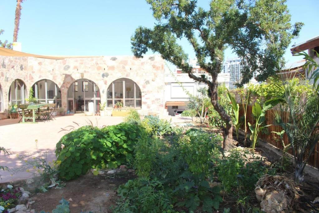 Апартаменти Eilat Stone - Patio אבן אילת - פטיו Екстер'єр фото