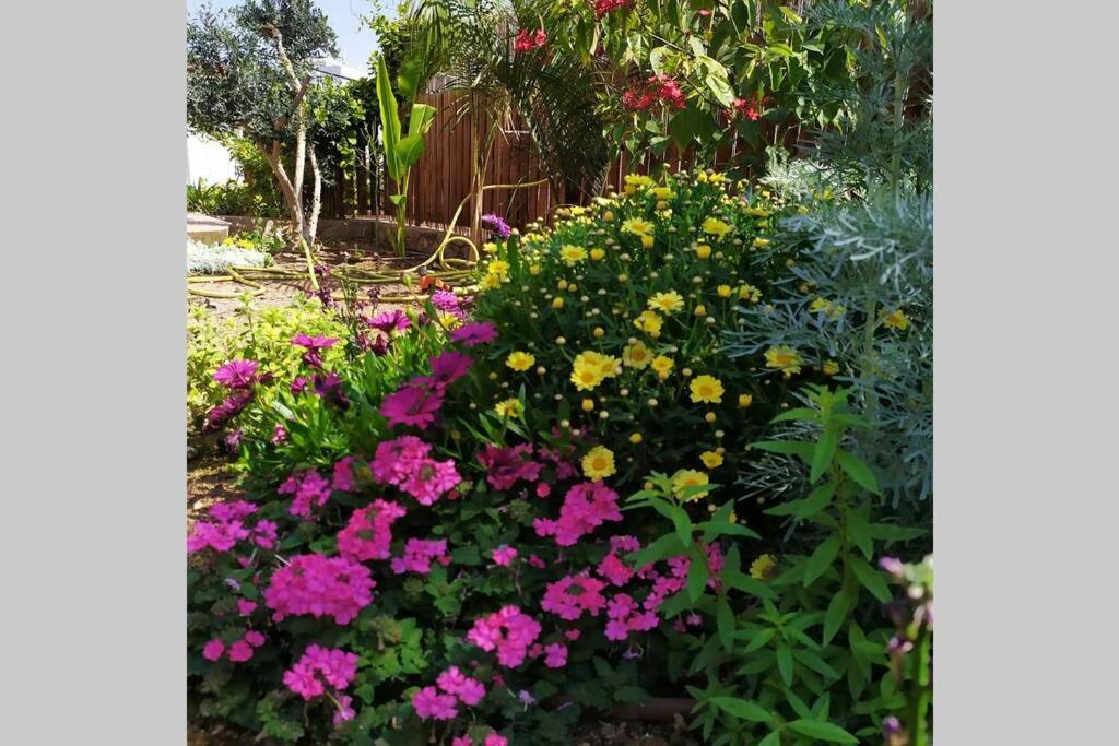 Апартаменти Eilat Stone - Patio אבן אילת - פטיו Екстер'єр фото